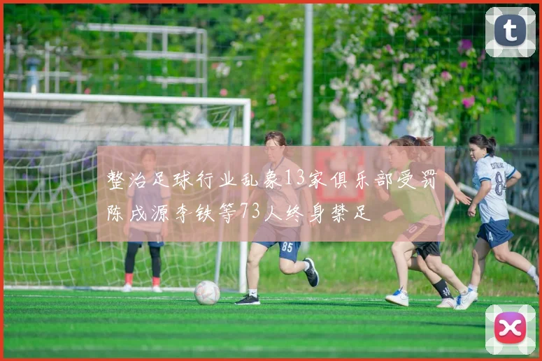 整治足球行业乱象13家俱乐部受罚陈戌源李铁等73人终身禁足