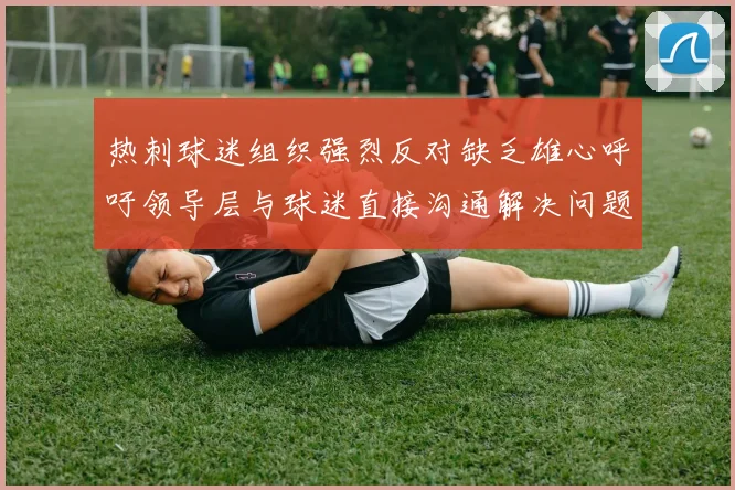 热刺球迷组织强烈反对缺乏雄心呼吁领导层与球迷直接沟通解决问题