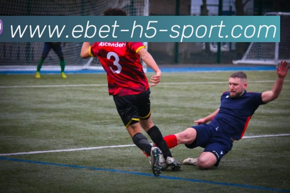 易倍体育APP 体育赛事宣传图